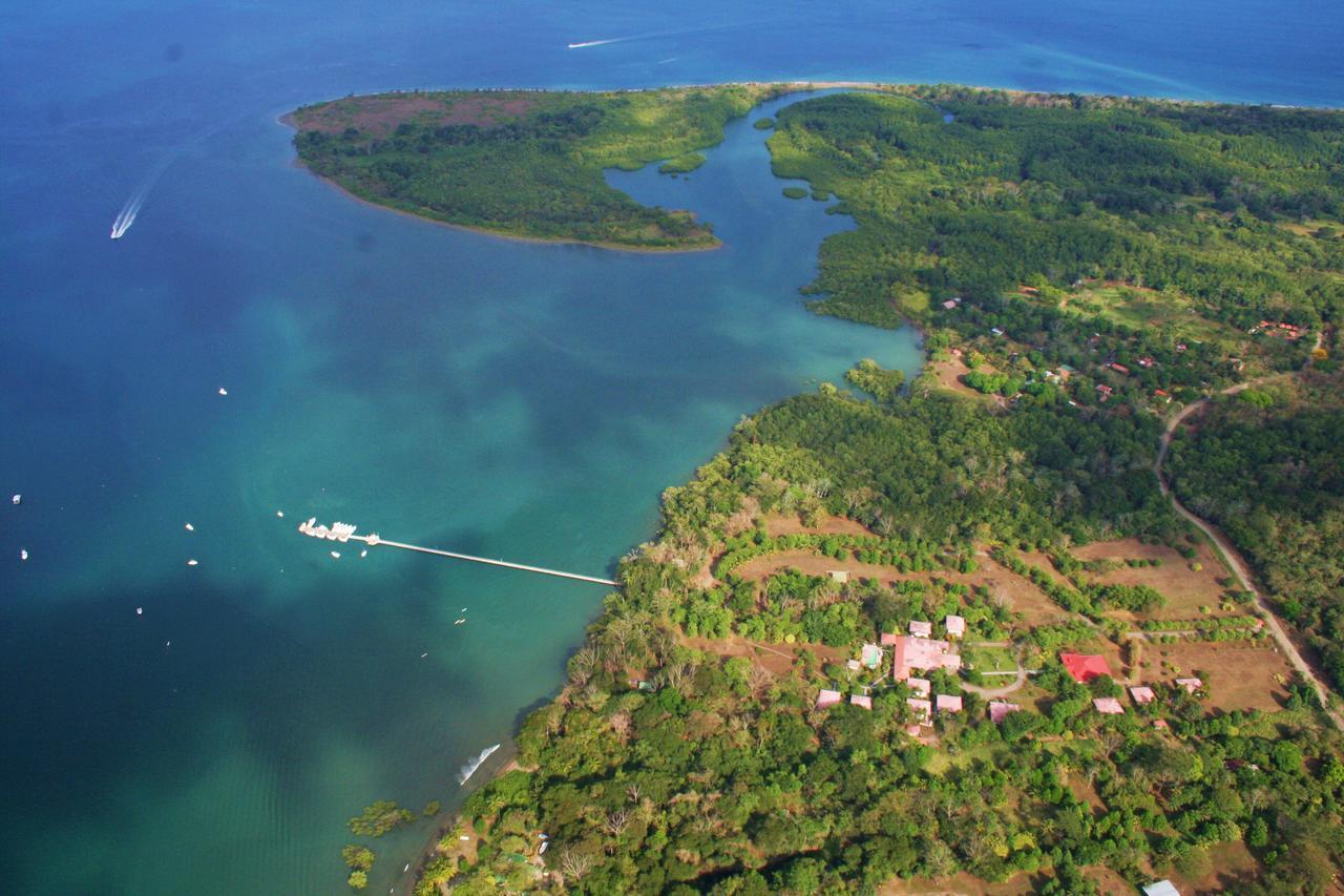 Crocodile Bay Resort Puerto Jimenez Ngoại thất bức ảnh